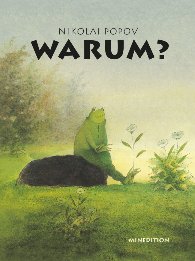 Ein Frosch sitzt auf einem Stein auf einer Wiese.